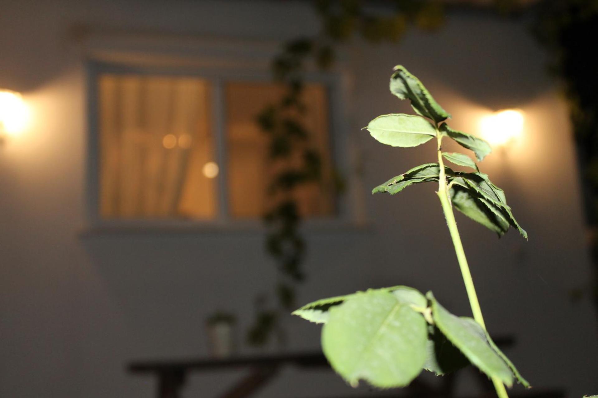Ηώς Apartment Thassos Exterior photo